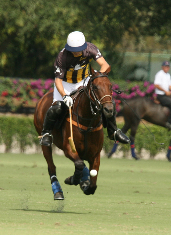 Joe Barry Memorial Polo Cup photos-1-20-13 Faraway vs. Lechuza