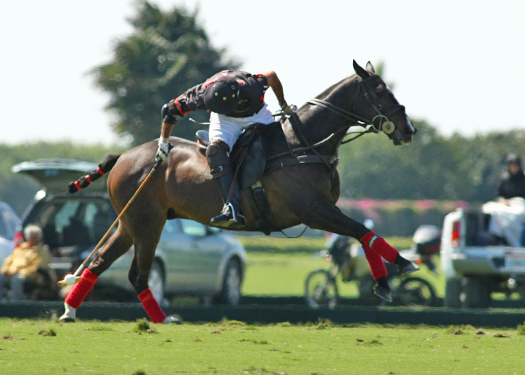 Polo Magazine Les Armour Polo Cup Finals Polo Photos Alex Pacheco 4