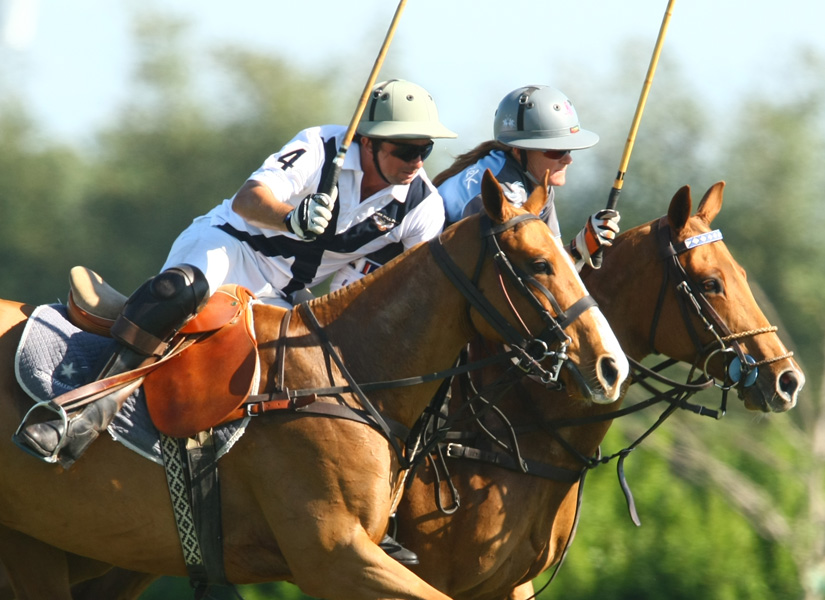 gossecreekpoloteamhawkhillpoloteampolomagazinepachecophotosgcpoloclub 12
