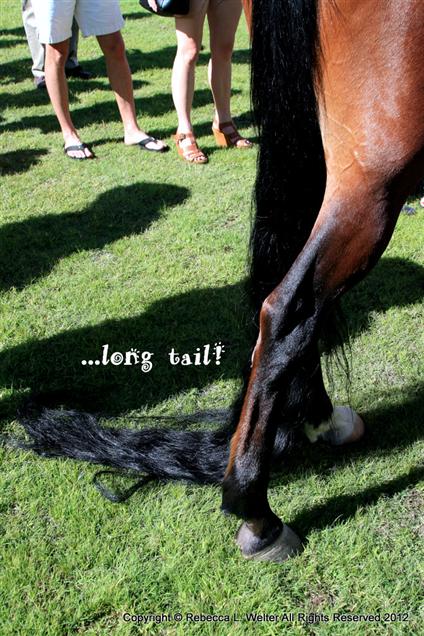 POLO Magazine Rebecca Welter 1-IMG 0684