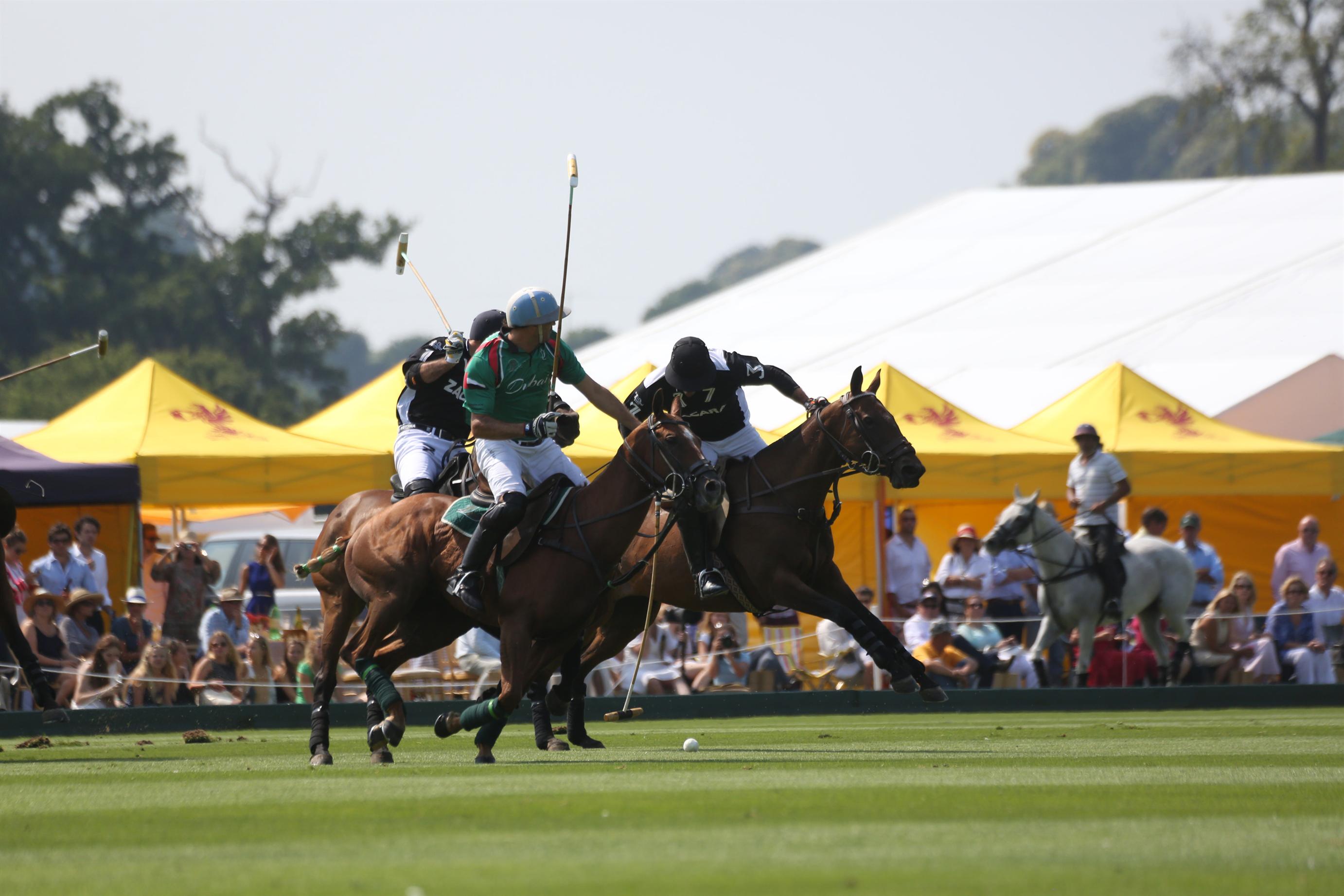 GOLD CUP Cambiaso waits to pick up CB Custom