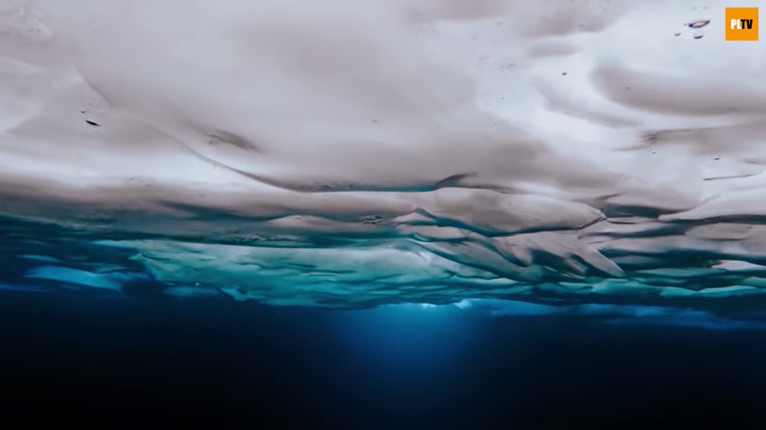 Snow Polo World Cup St. Moritz 2022