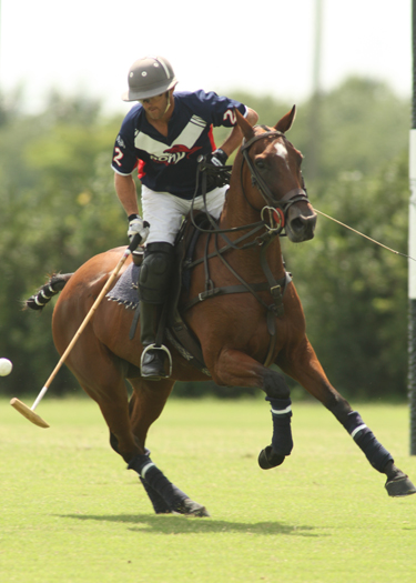 polophotopalmcitypoloclubpolomag 1